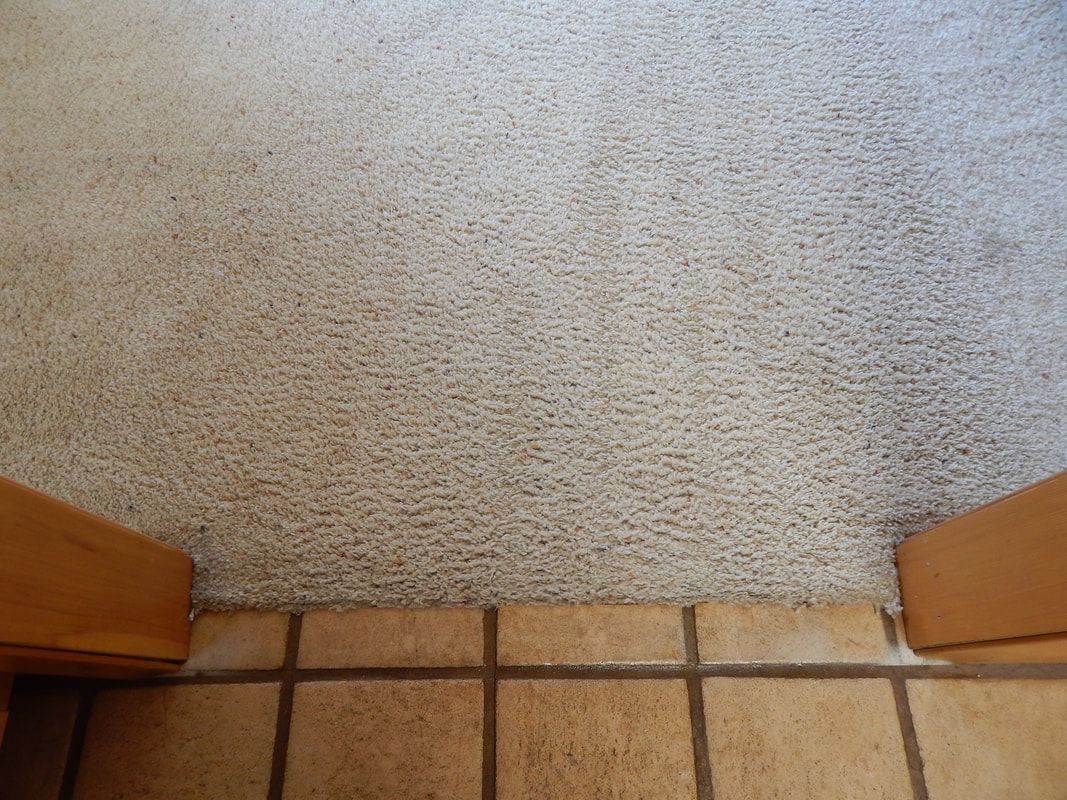 A close up of a carpeted floor next to a door.