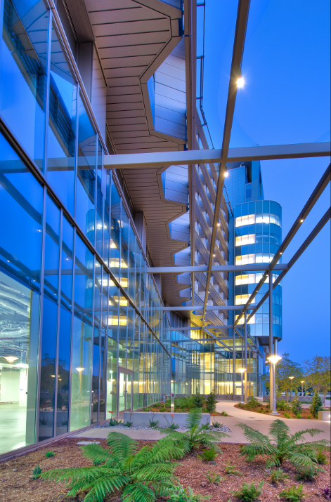 masson & associates palomar medical center