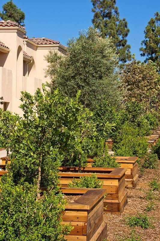 masson & associates orange garden apartments