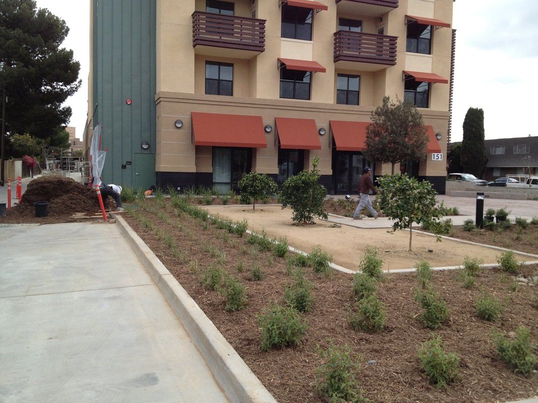 masson & associates solterra affordable housing