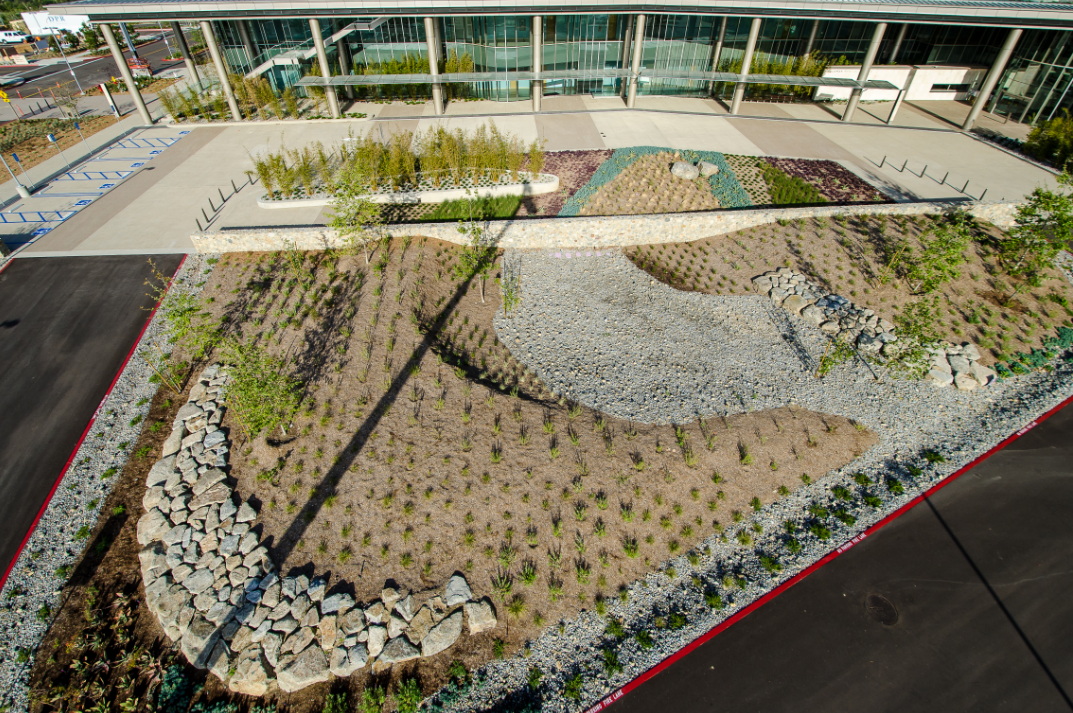 masson & associates palomar medical center