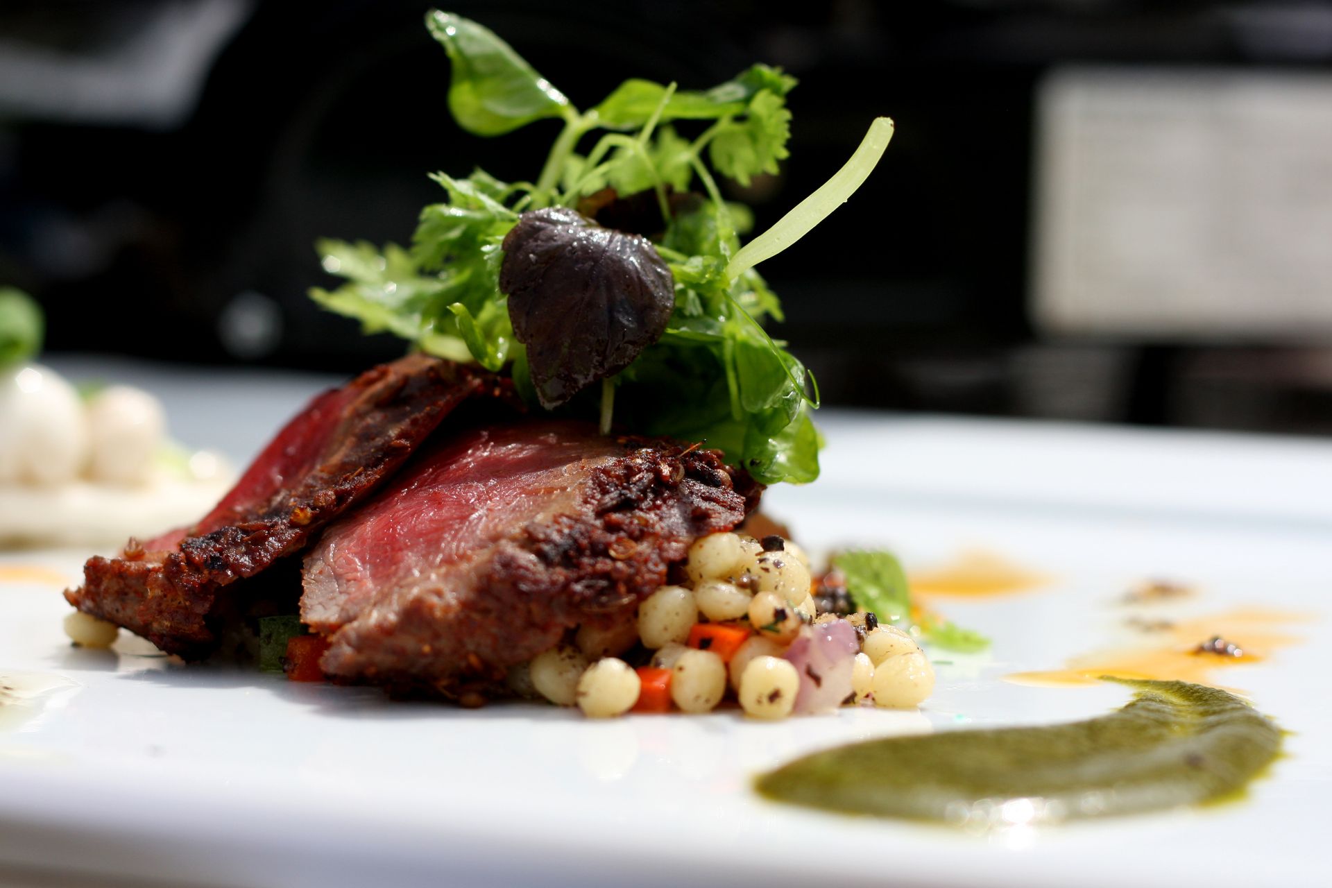 Sliced steak with colorful couscous and green garnish on a white plate.