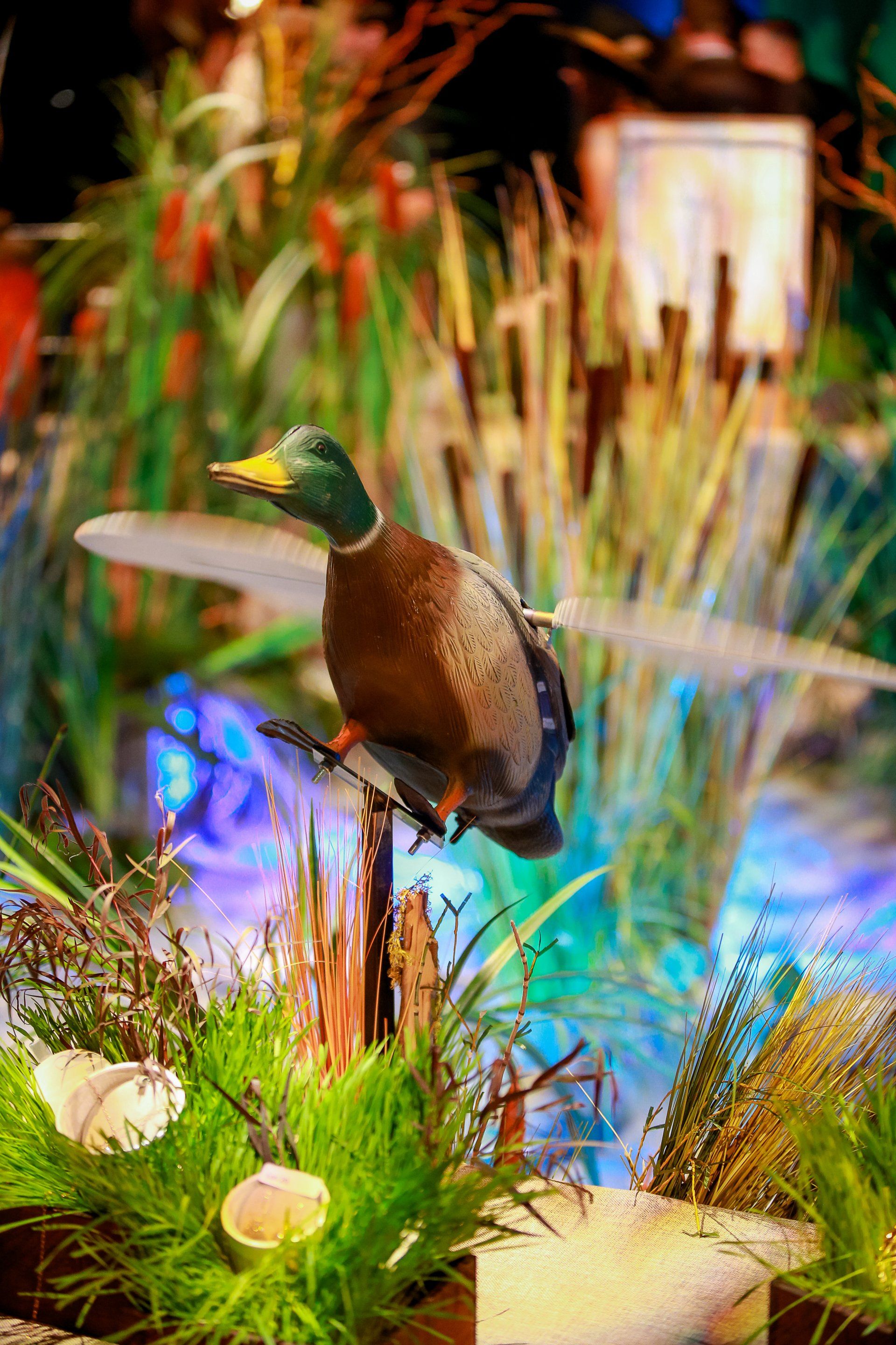 A duck with wings is sitting on a branch in a pond.