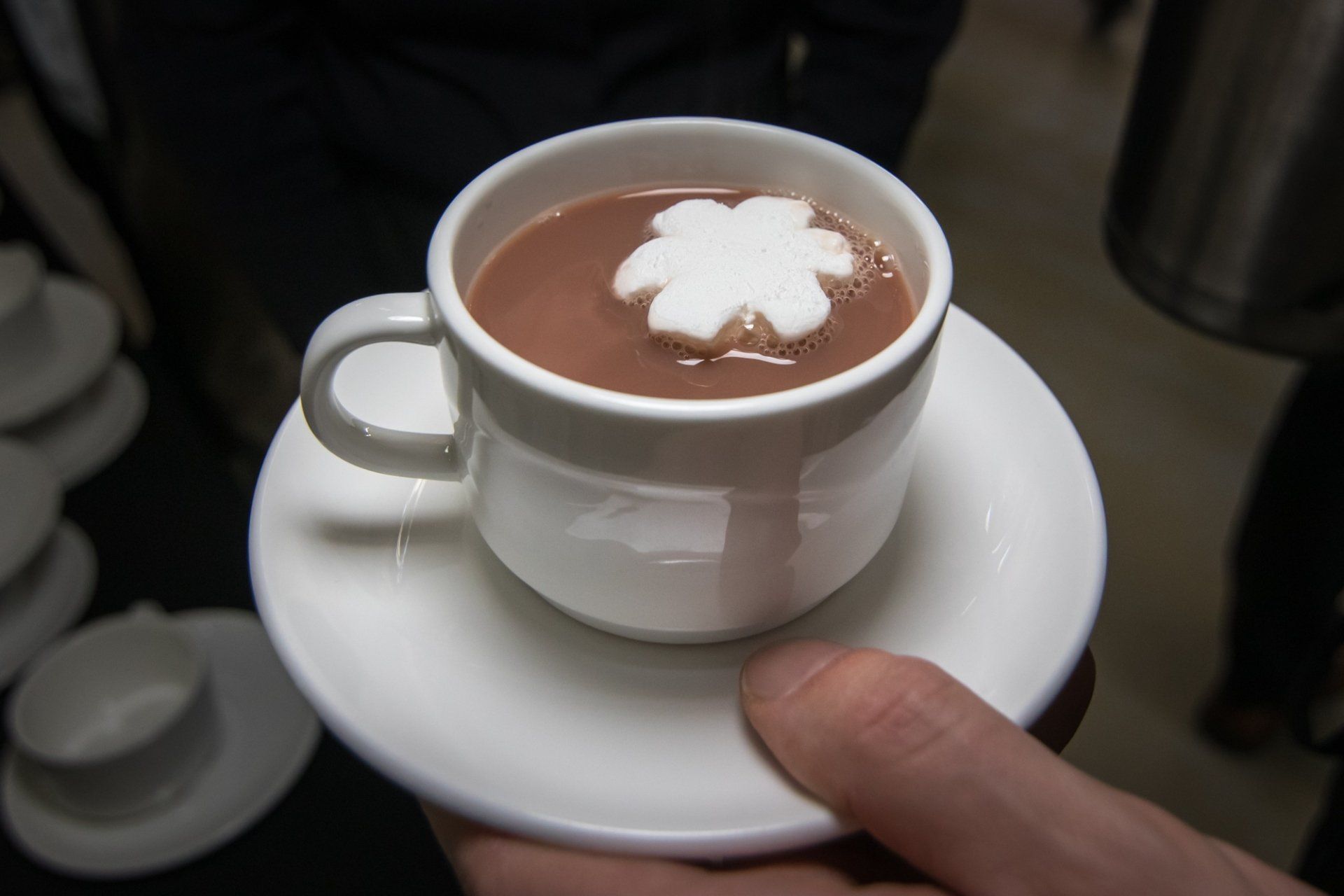 A person is holding a cup of hot chocolate with marshmallows on top