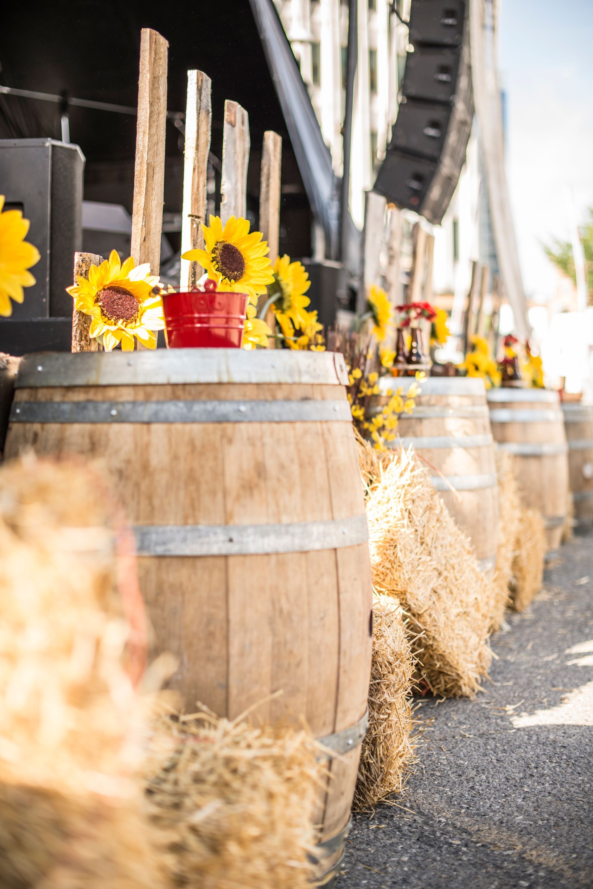 A row of wooden barrels decorated with sunflowers and hay bales.