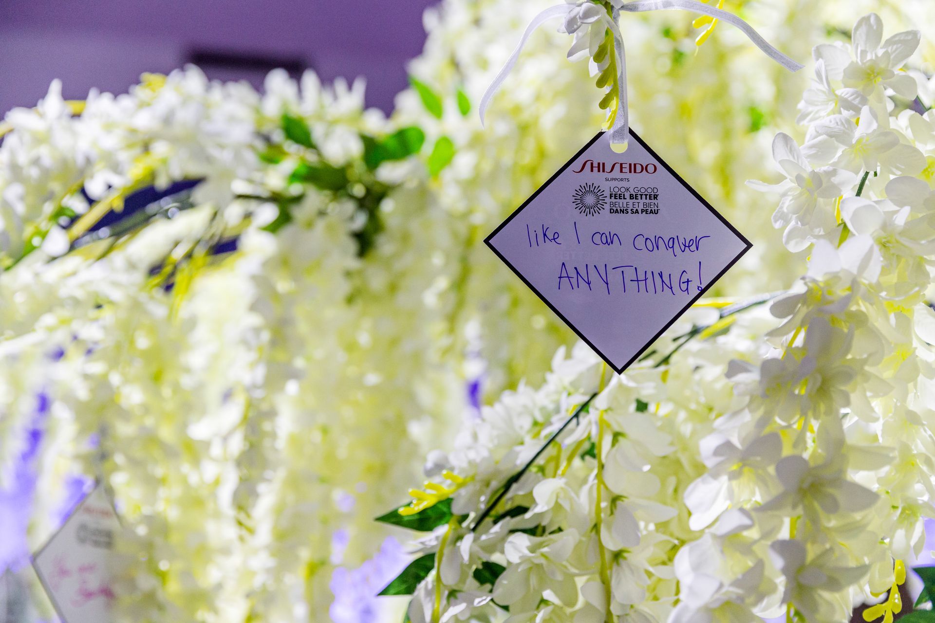 A bunch of white flowers with a tag that says `` you can do anything '' hanging from them.