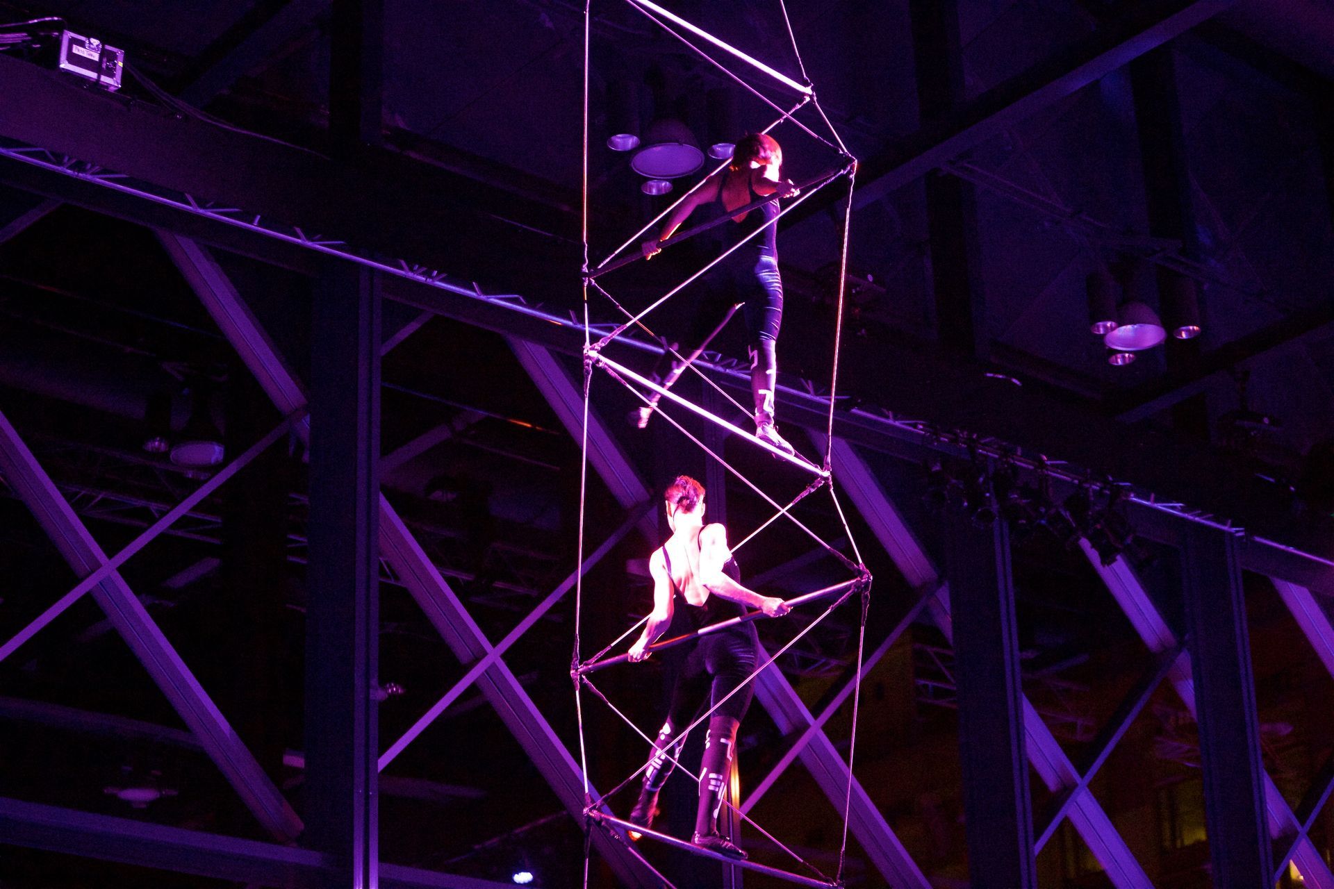 Luminescent Christmas