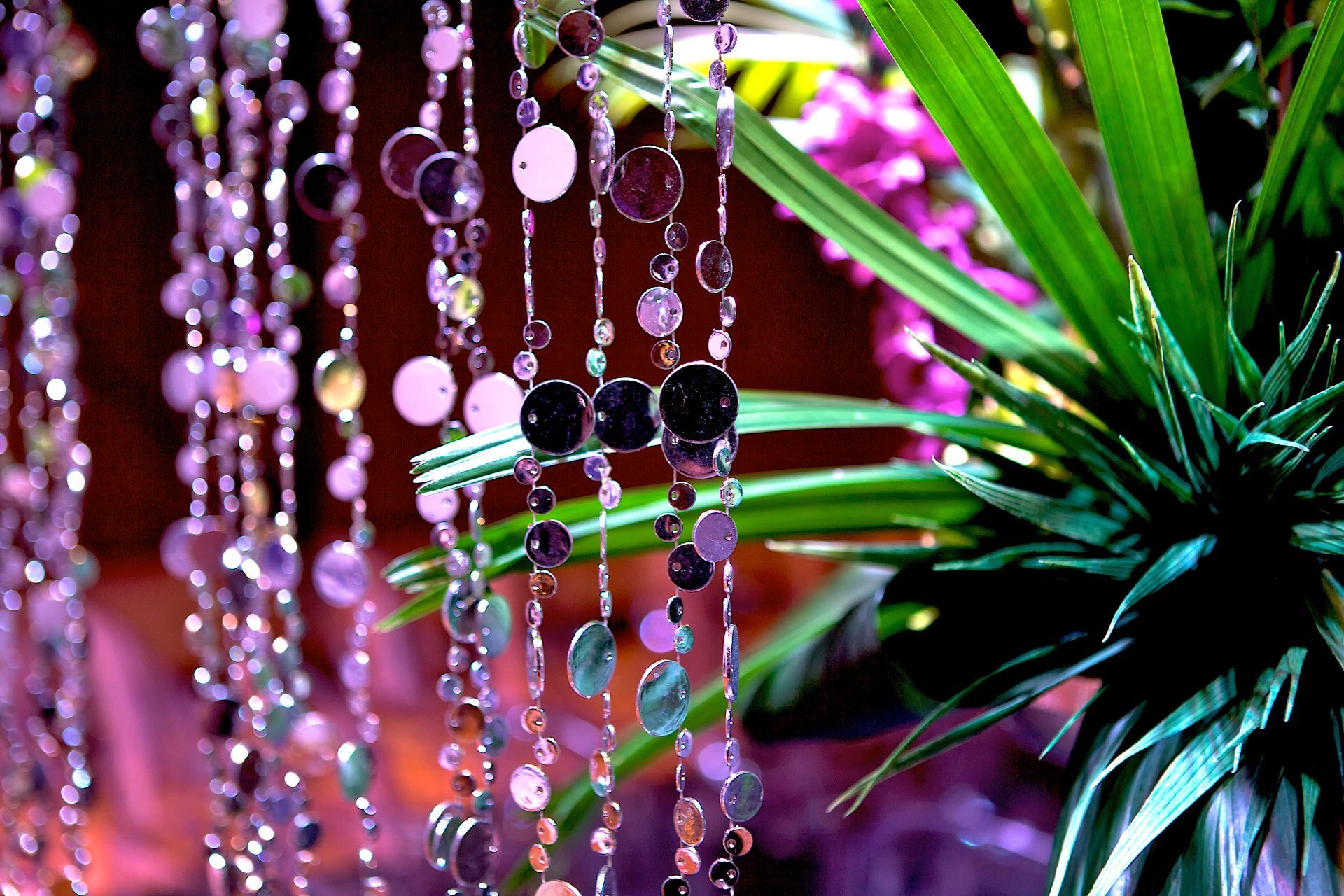 A plant with purple beads hanging from it