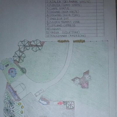 A hand-drawn landscape design plan on grid paper, including a plant legend, walkways, greenery, and a pool.