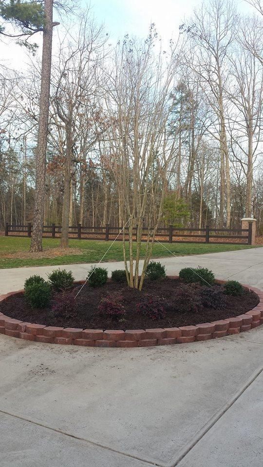 A circular brick-edged garden bed with mulch, small shrubs, and a bare tree in the center on a concrete driveway.