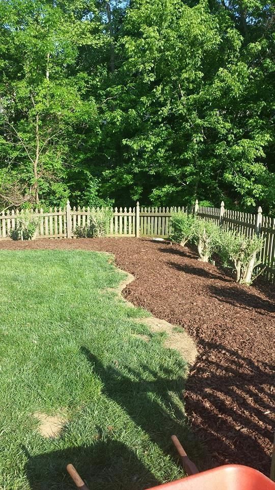 A grassy lawn with a curved mulch border and several small bushes in front of a wooden picket fence and trees.
