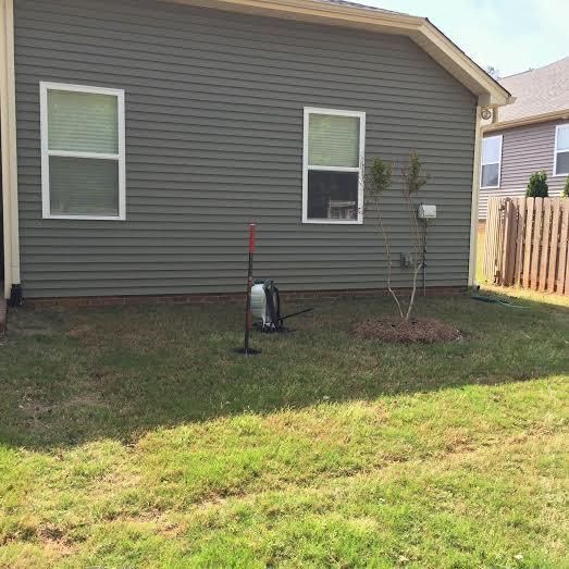 Gray siding house with two windows and a small yard containing a shovel, a leaf blower, and a young sapling.