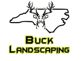 Buck Landscaping
