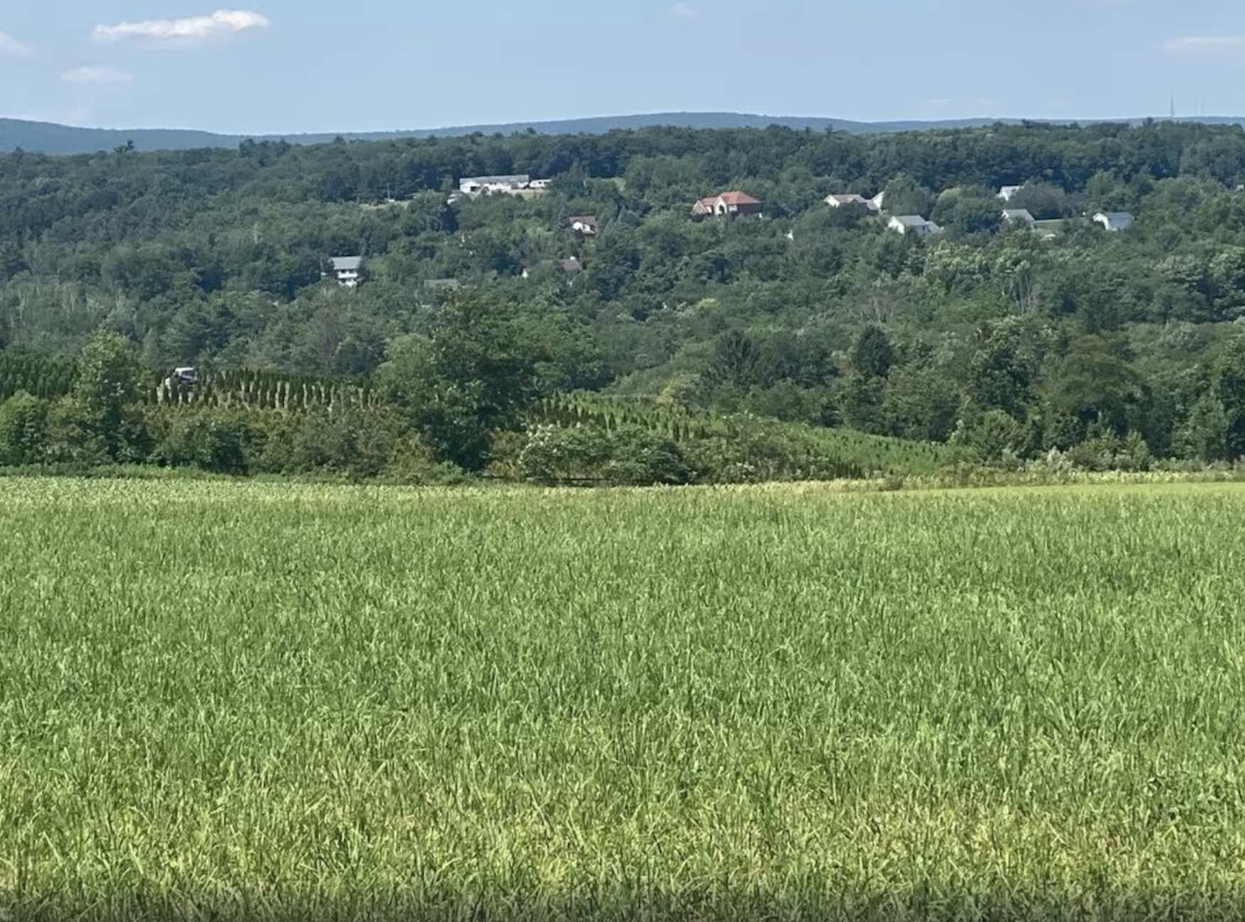 A large green field with trees in the background and a village in the distance at Chestnuthill Countryside Manor
