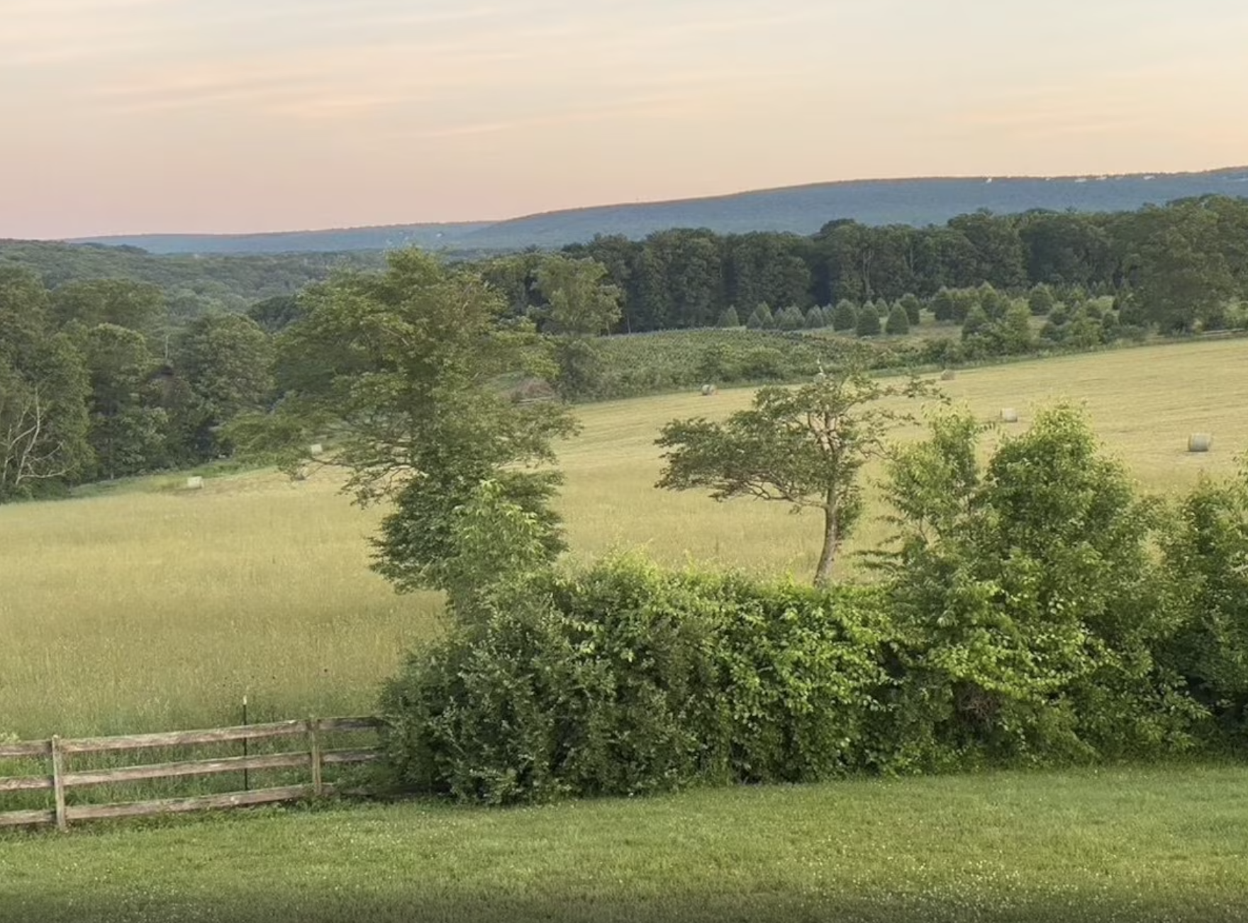 A wooden fence surrounds a grassy field with trees in the background at Chestnuthill Countryside Manor