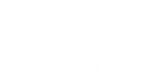 A white background with a few lines on it