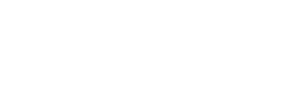 Downtown Stroudsburg Business Association Logo