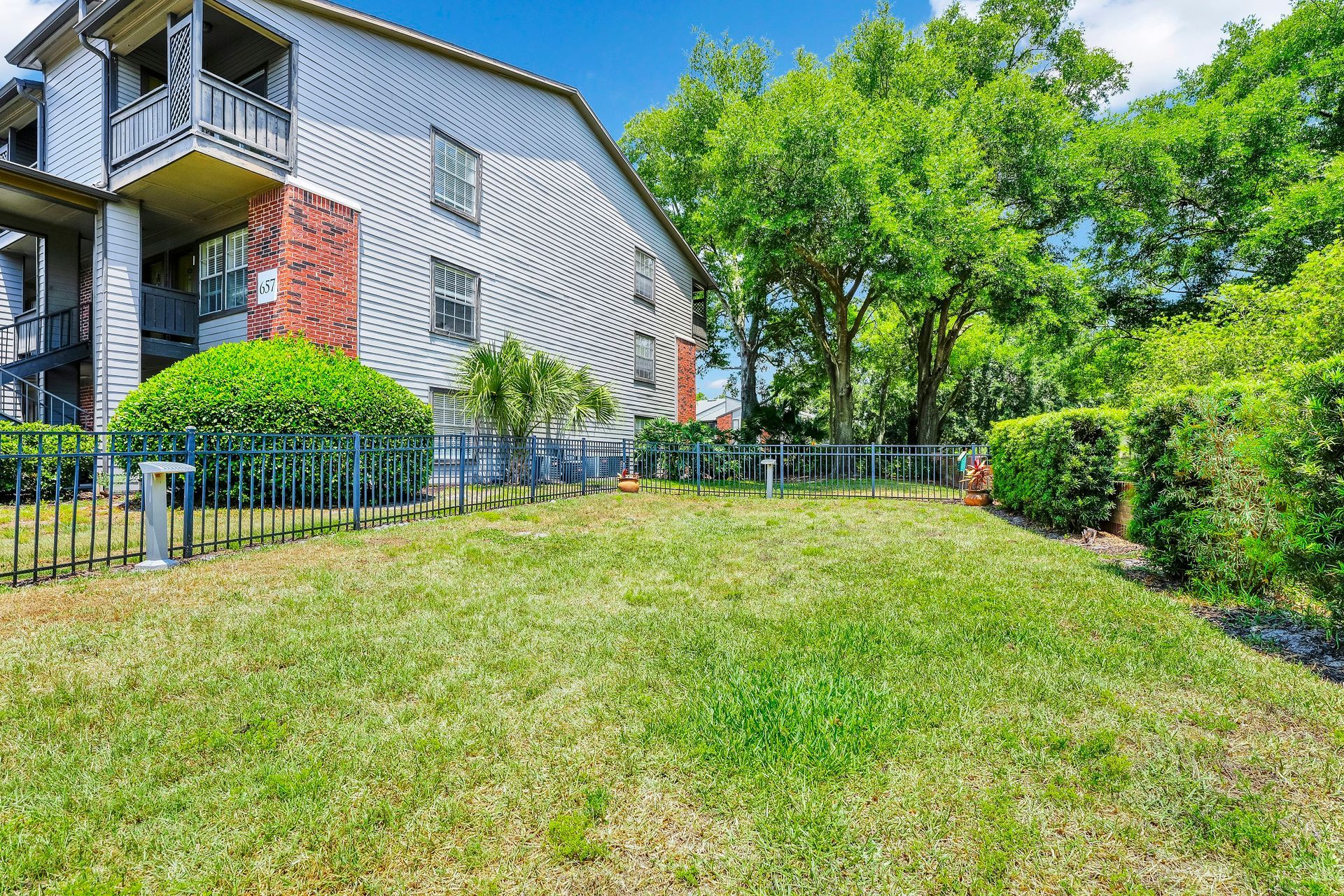 A grassy backyard with a building on the left and green trees in the background under a blue sky.