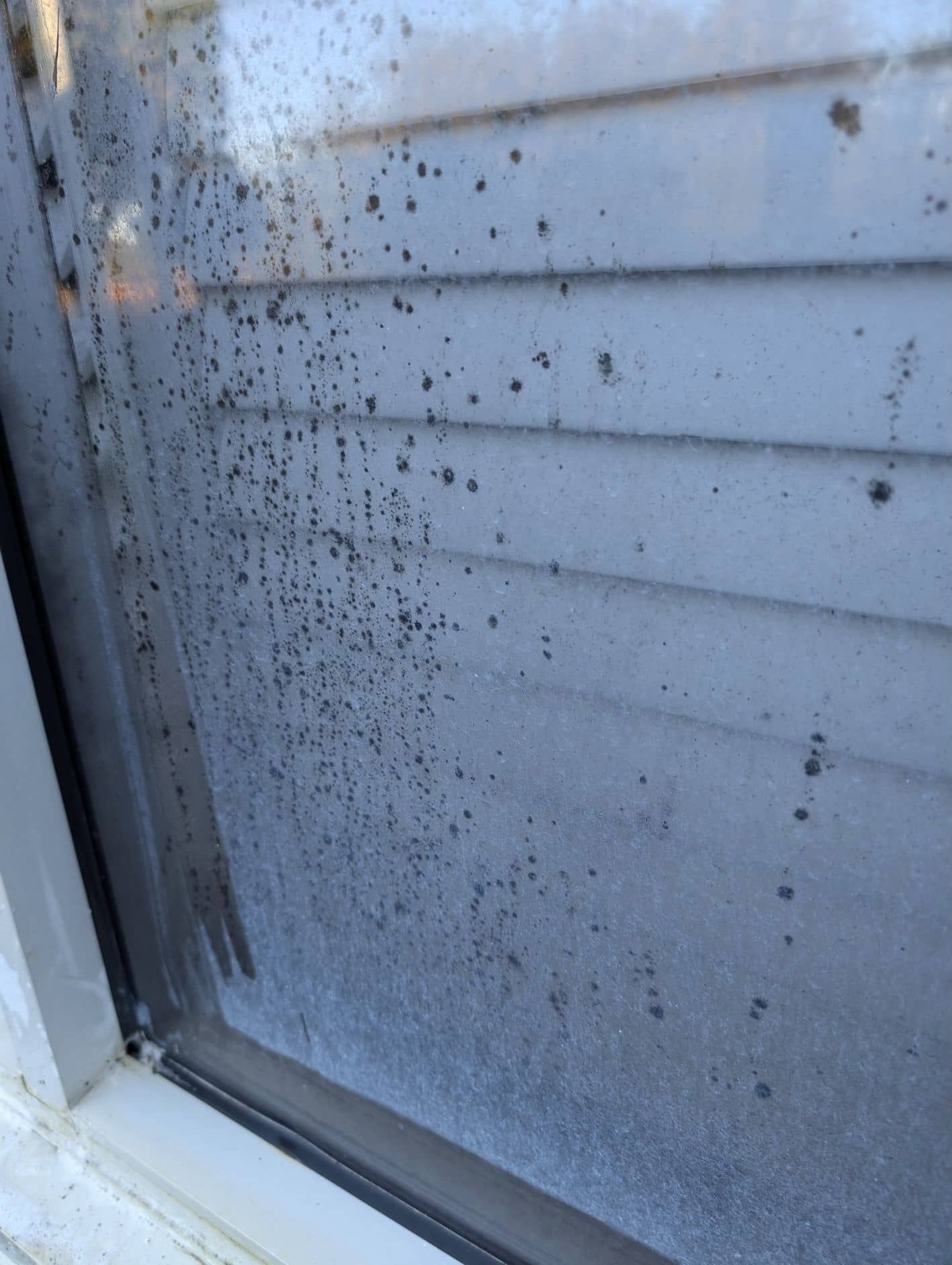 Steamy Window With Condensation — Pristine Cleaning Bundaberg In Kalkie, QLD