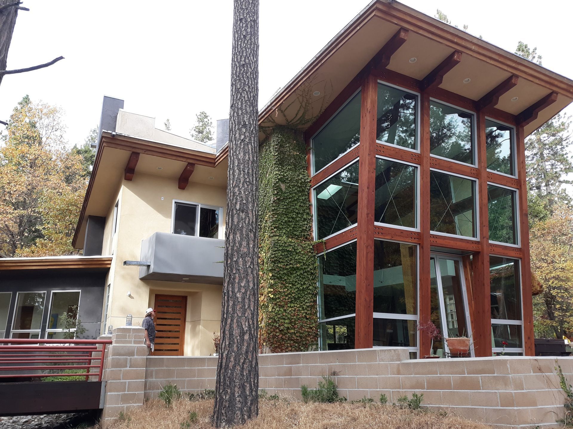 A house with a lot of windows is surrounded by trees