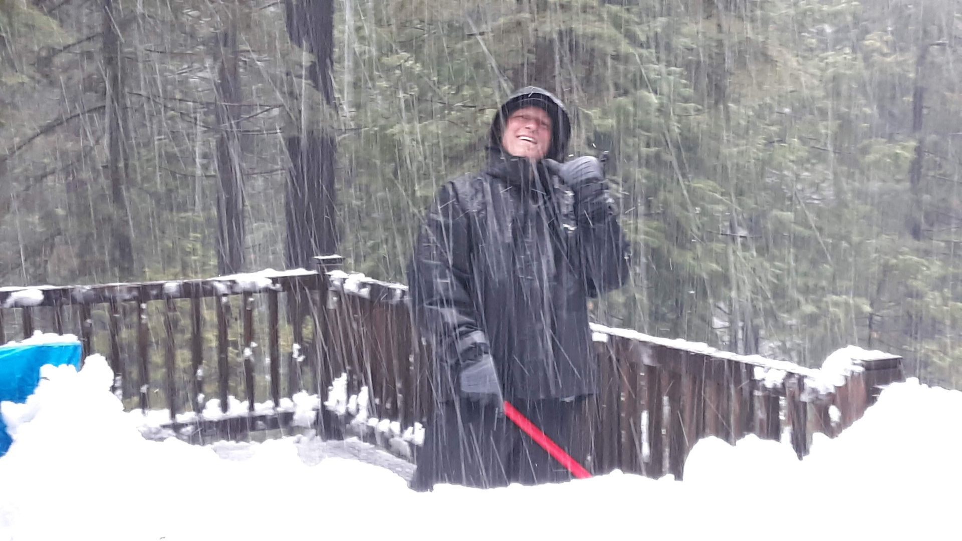 A large house with a lot of windows is surrounded by trees and bushes.