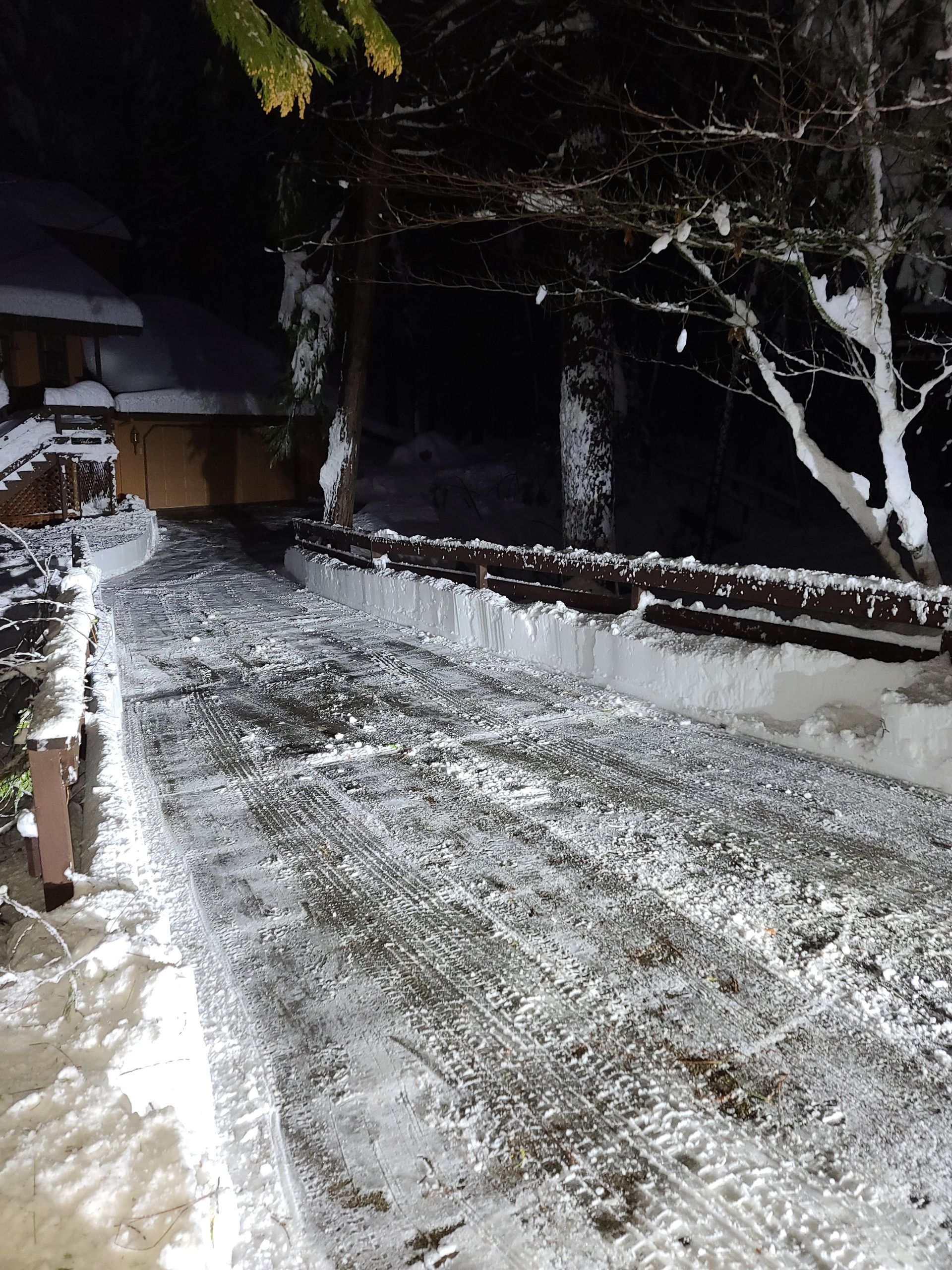 A large house with a lot of windows is surrounded by trees and bushes.