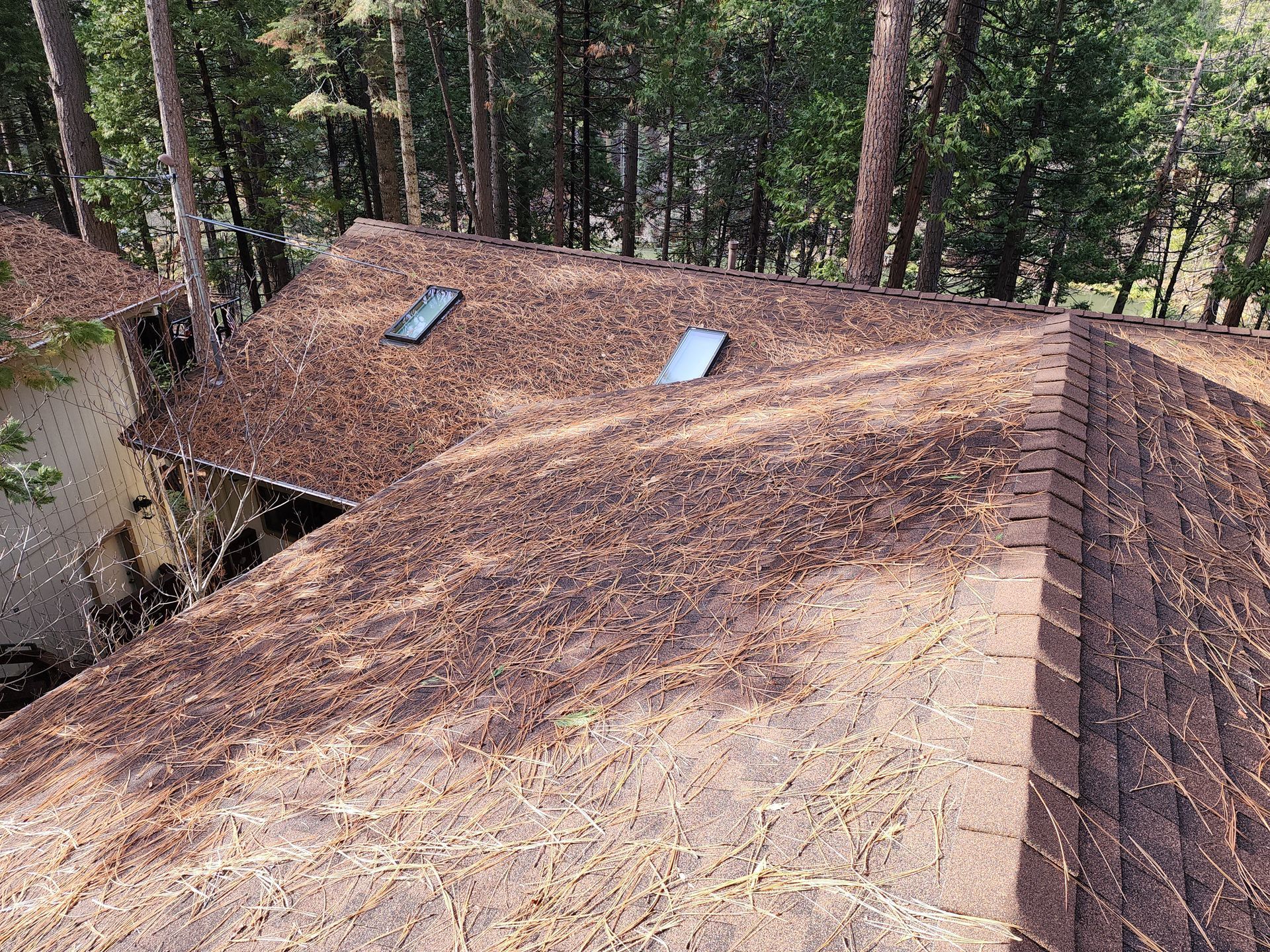A roof with two skylights on it in the middle of a forest.
