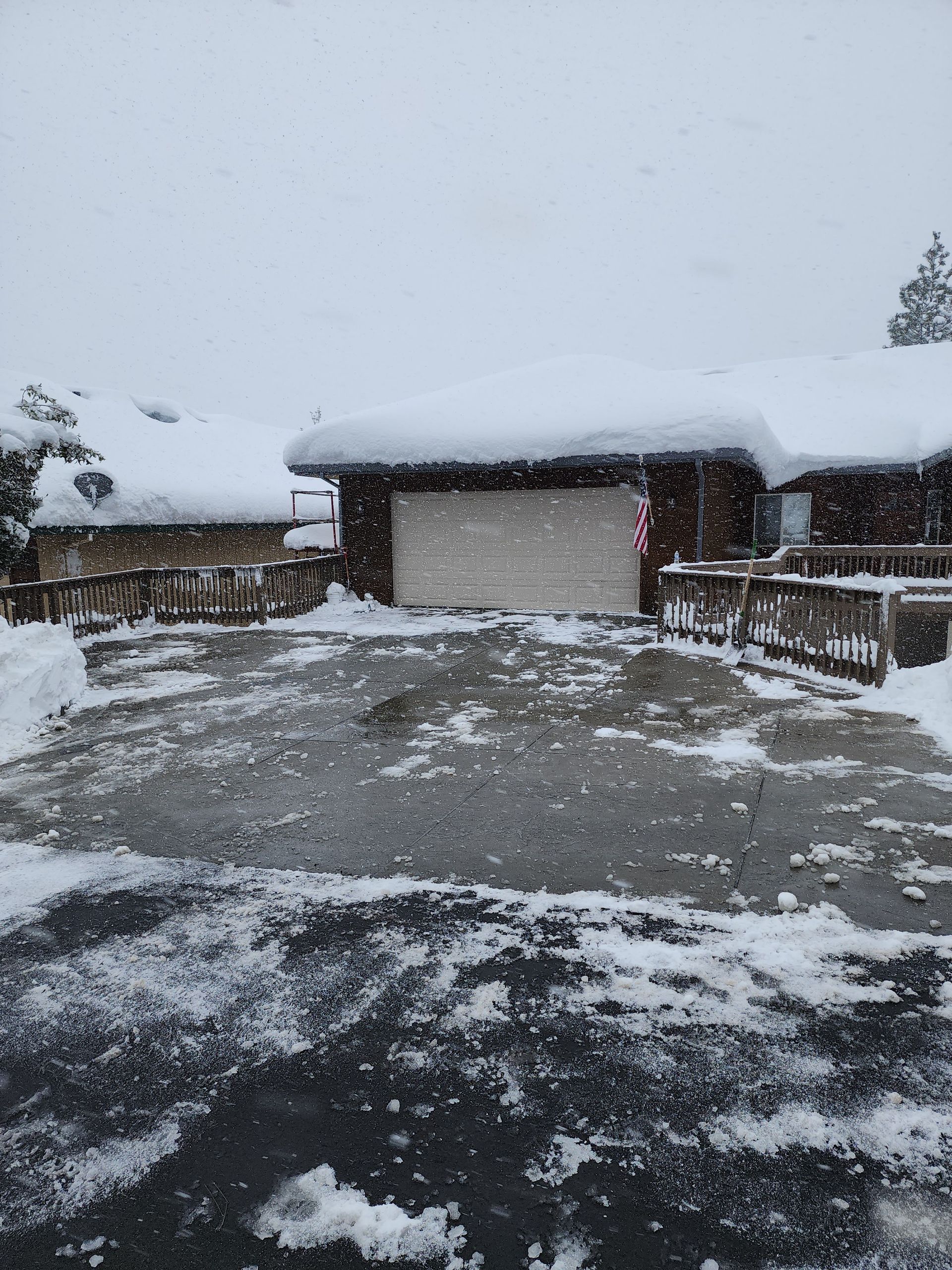 A large house with a lot of windows is surrounded by trees and bushes.