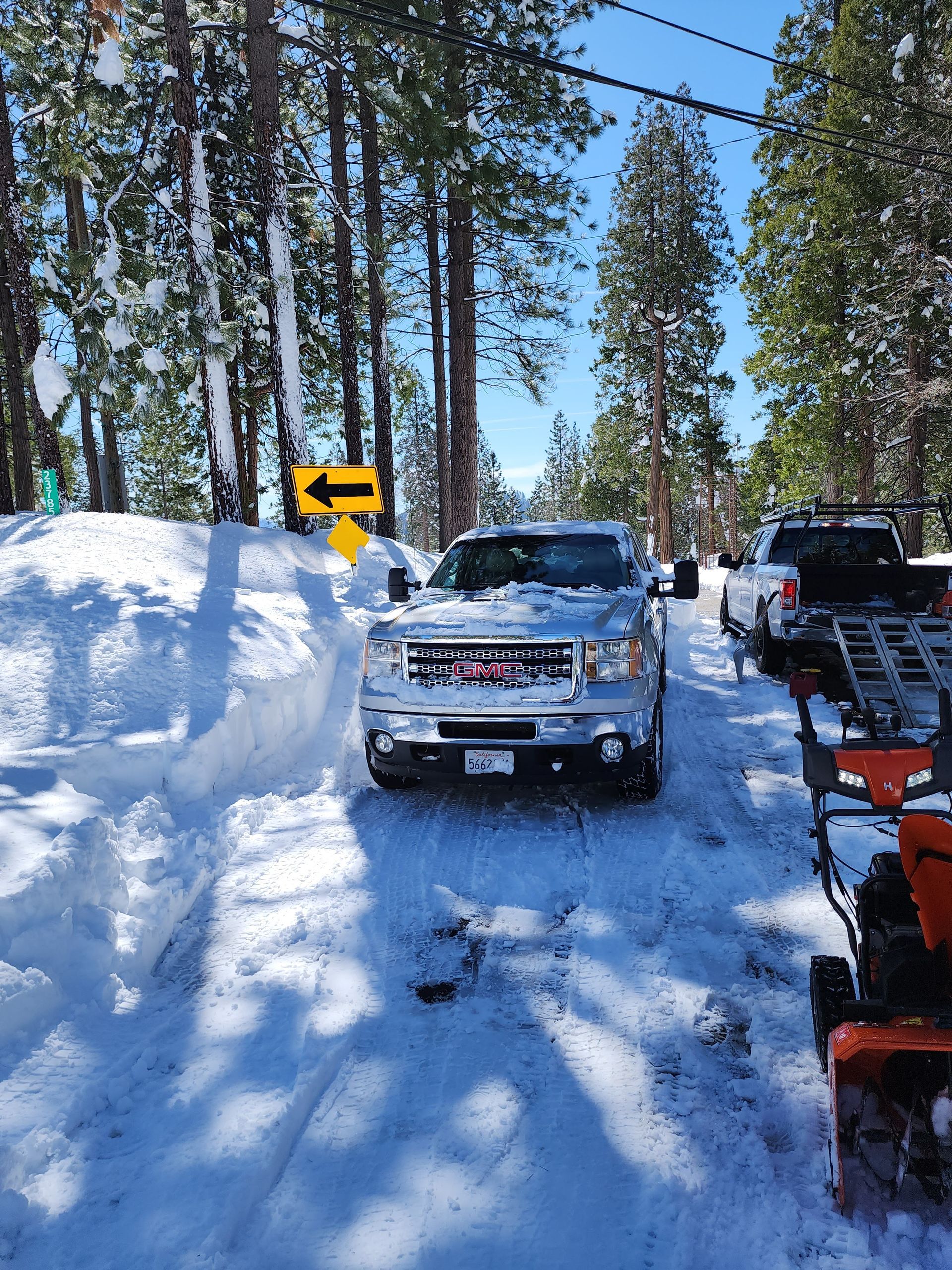 A large house with a lot of windows is surrounded by trees and bushes.