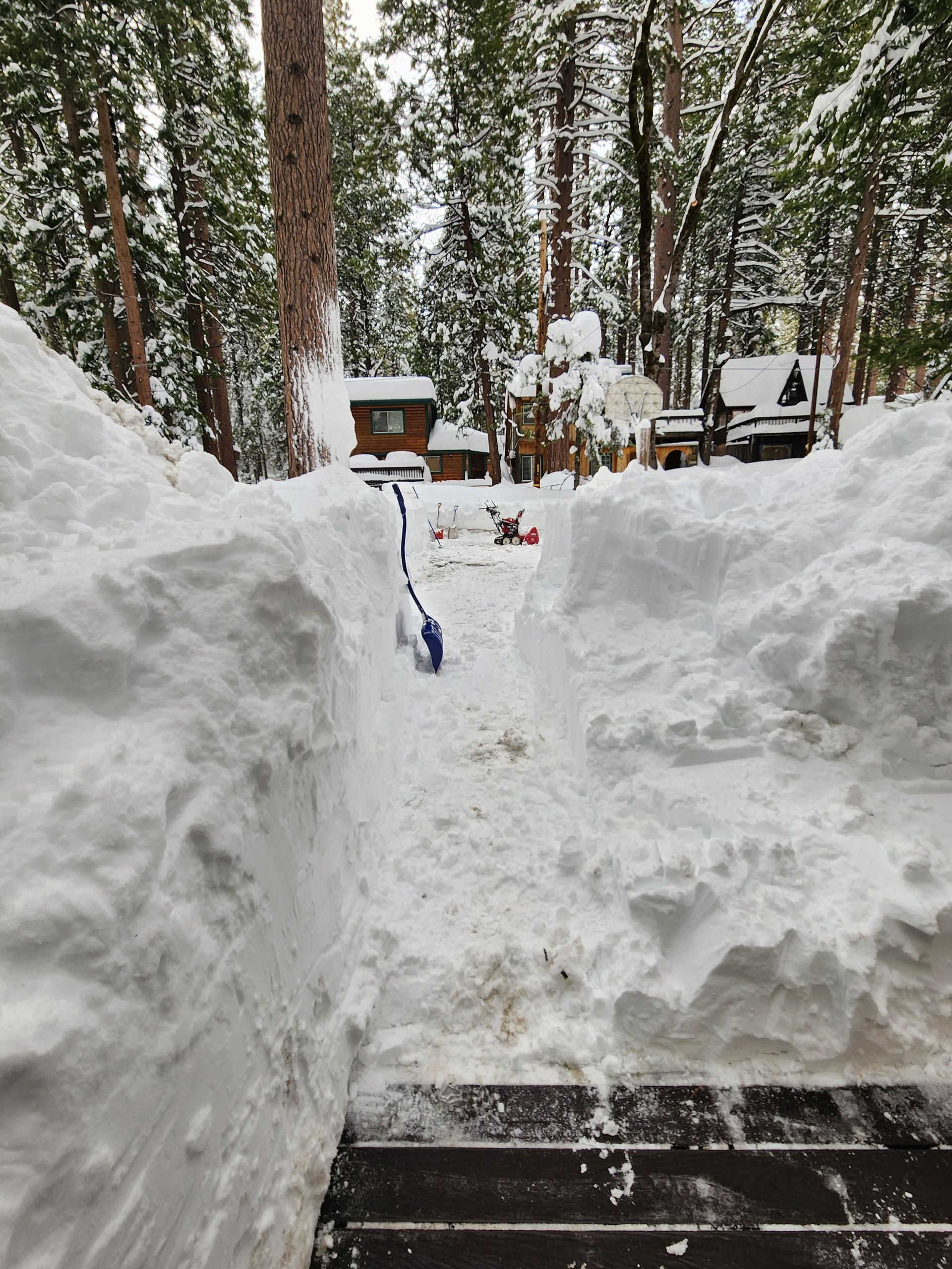 A red chair with wooden legs on a white background