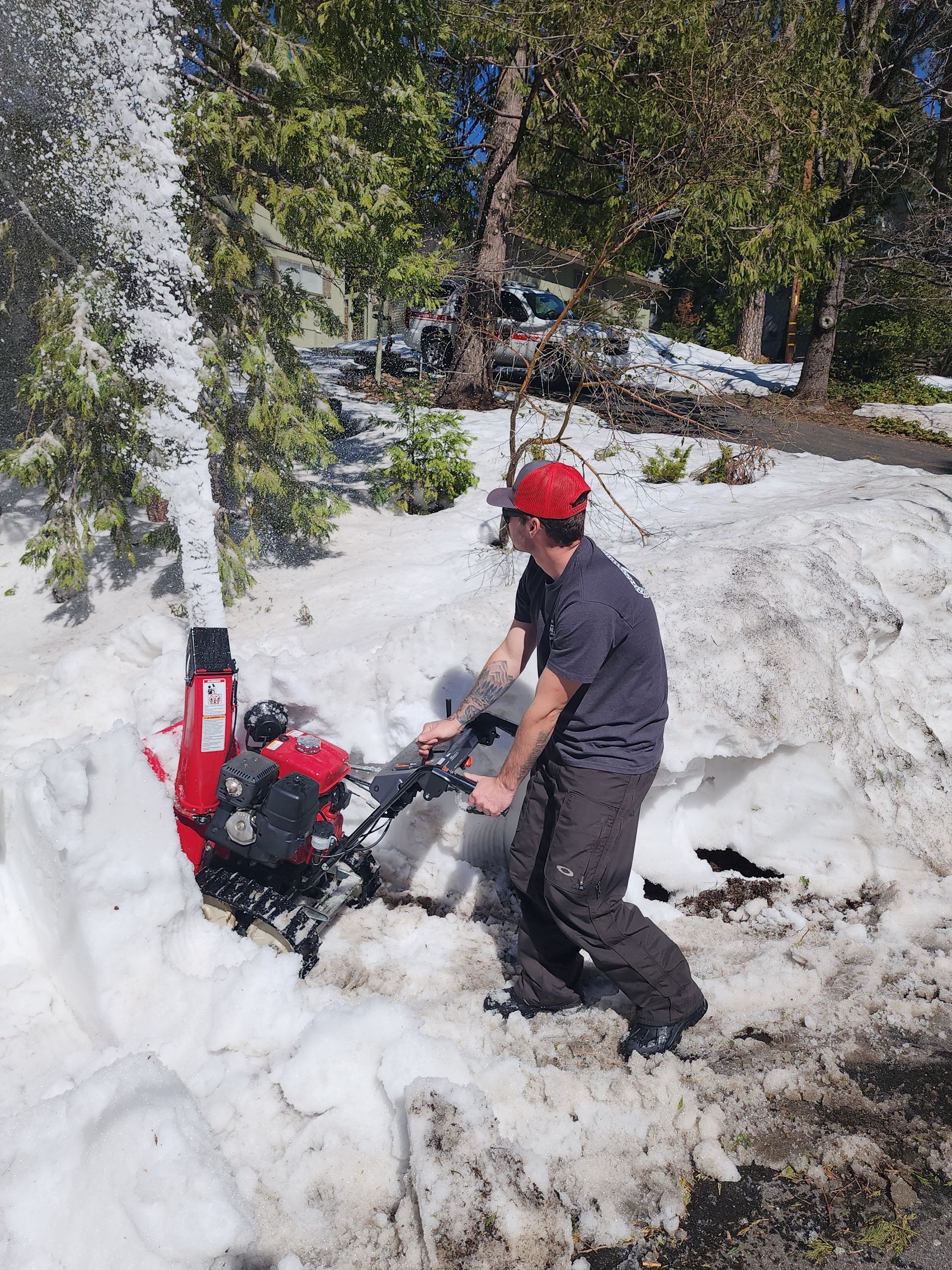 A living room with a fireplace and lots of windows