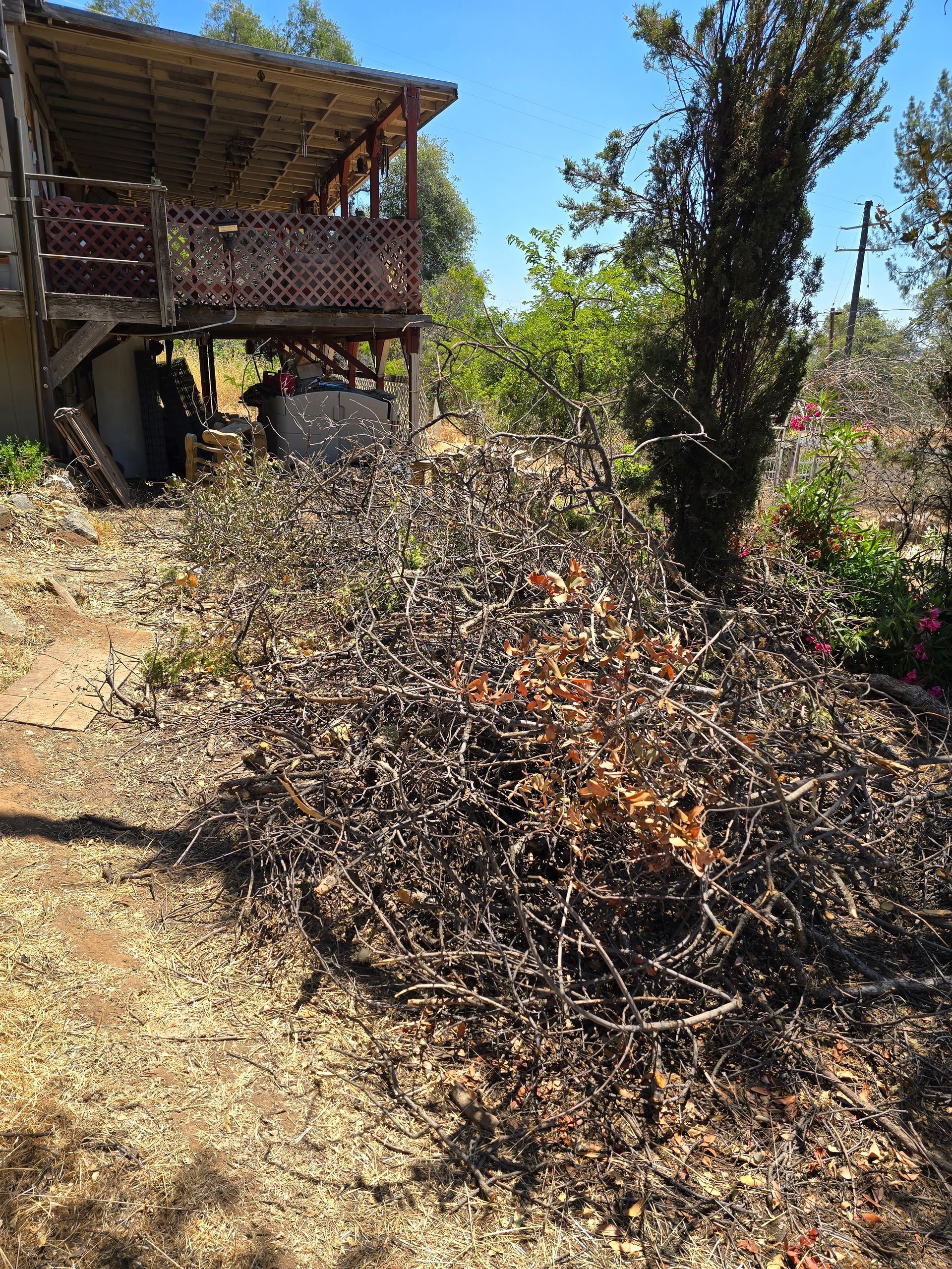 A pile of branches is sitting in front of a house.