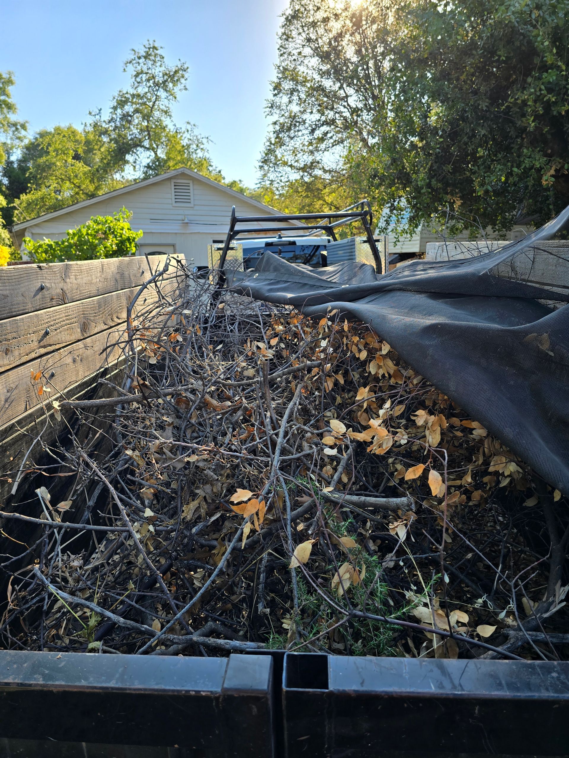 A truck filled with branches and leaves is parked in front of a house.