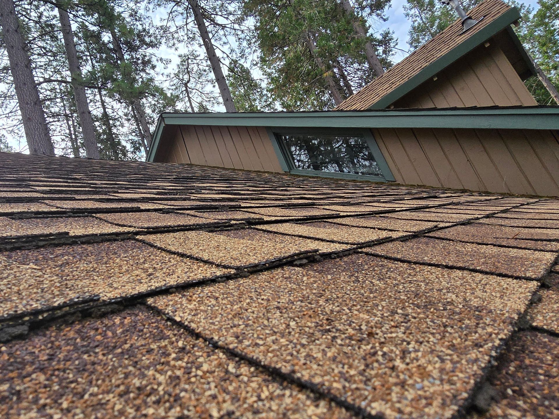 A close up of a roof of a house with trees in the background.