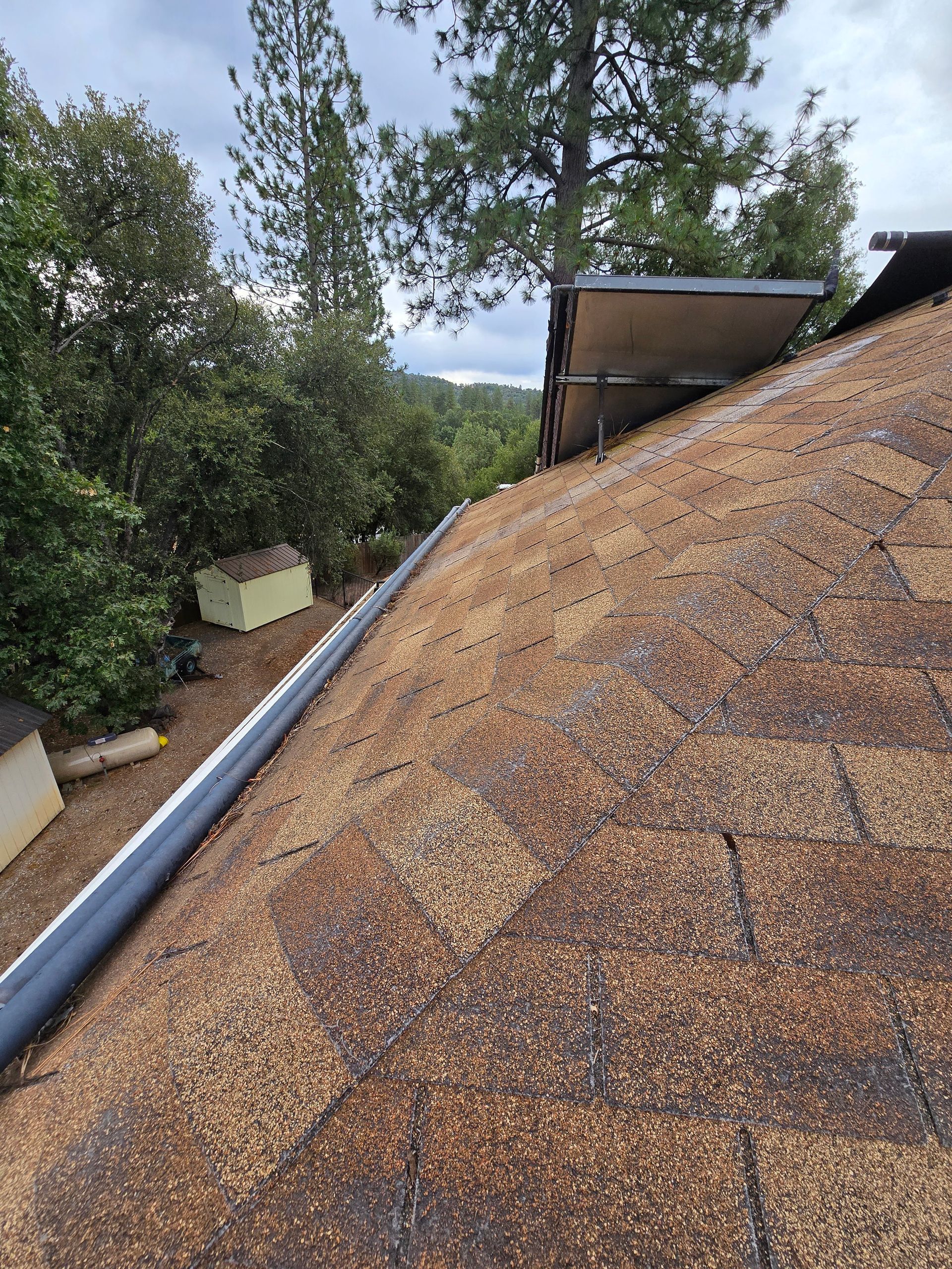 A roof with a solar panel on top of it and trees in the background.