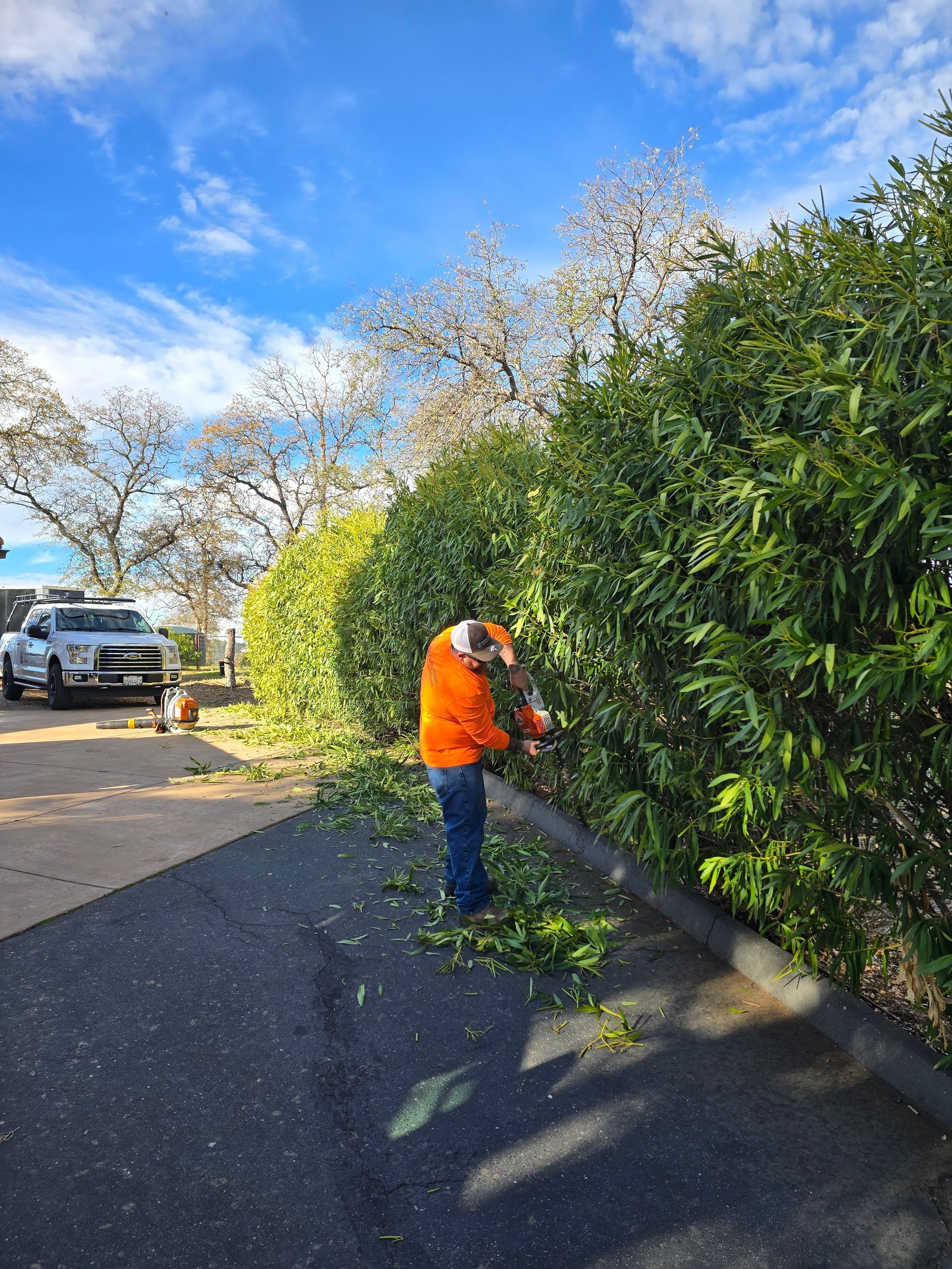 A man is cutting a hedge with a lawn mower.