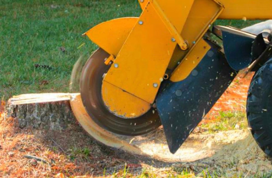 STUMP GRINDING