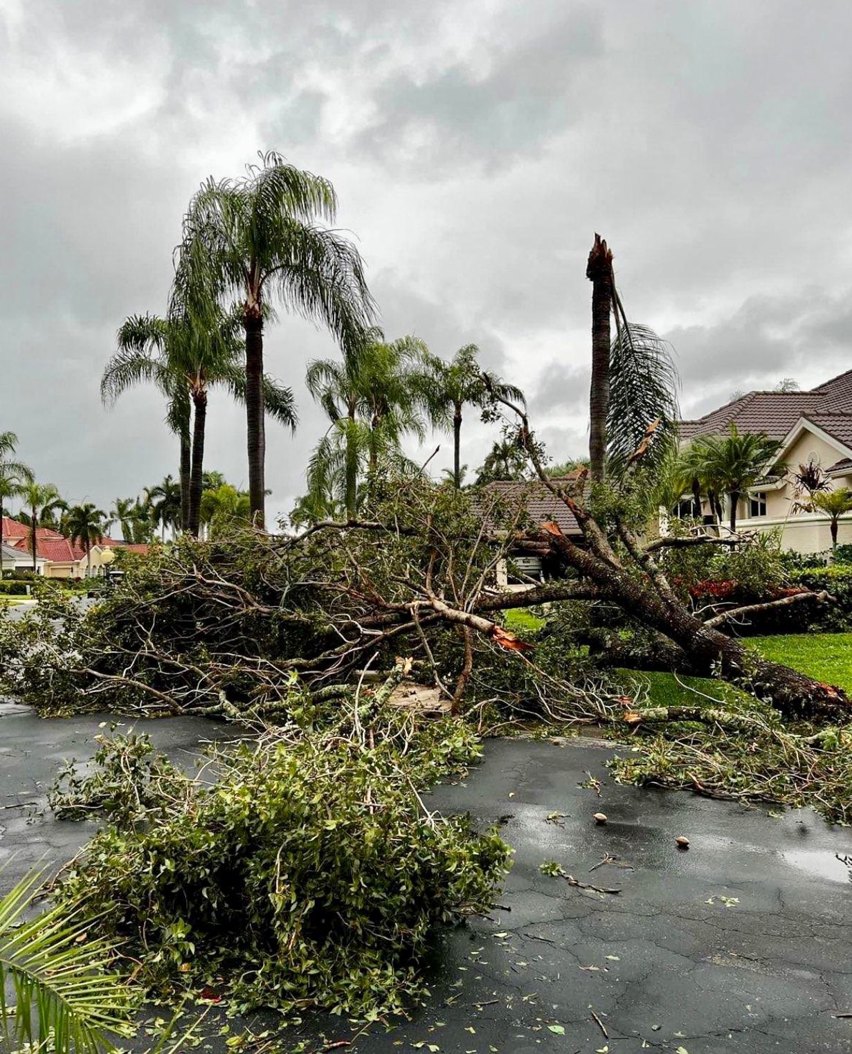 EMERGENCY SERVICES & STORM CLEANUP