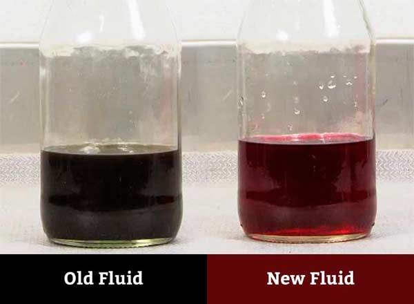 Transmission Fluids - International Sport Motors