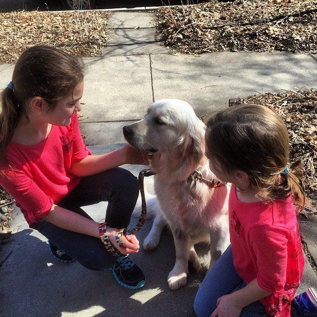 Children love therapy dogs
