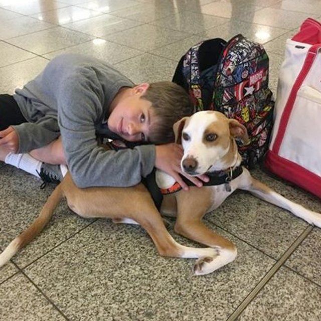 Boy with Autism Service Dog at the airport