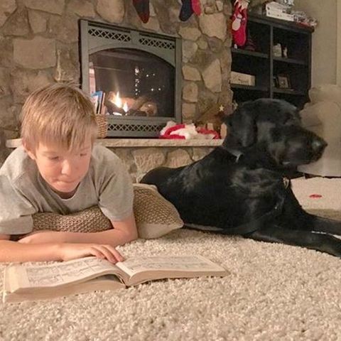 At home with his Service Dog