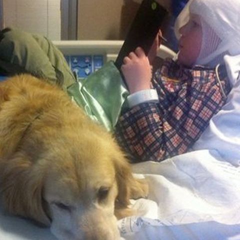 Boy during EEG with his Service Dog