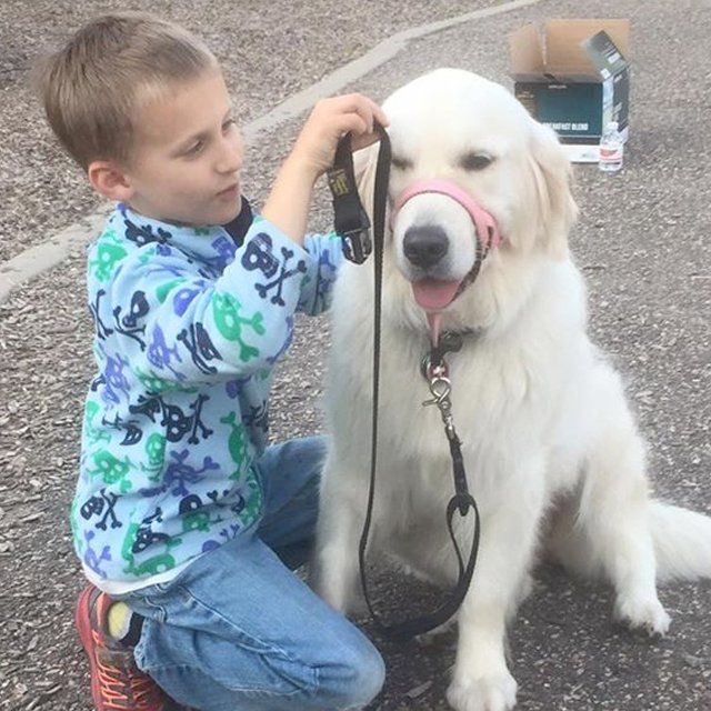 Playing with his Autism Service Dog