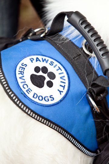 Pawsitivity vest and patch (old design)