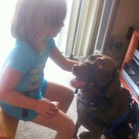 Sitting Service Dog
