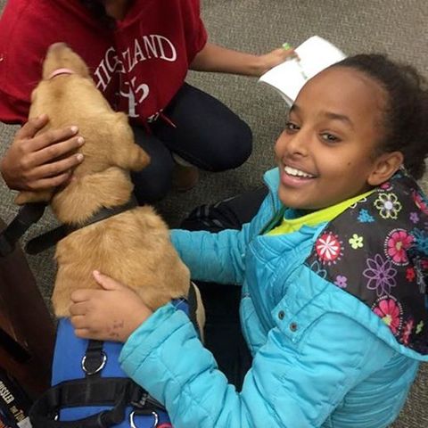 Meeting a Service Dog in training