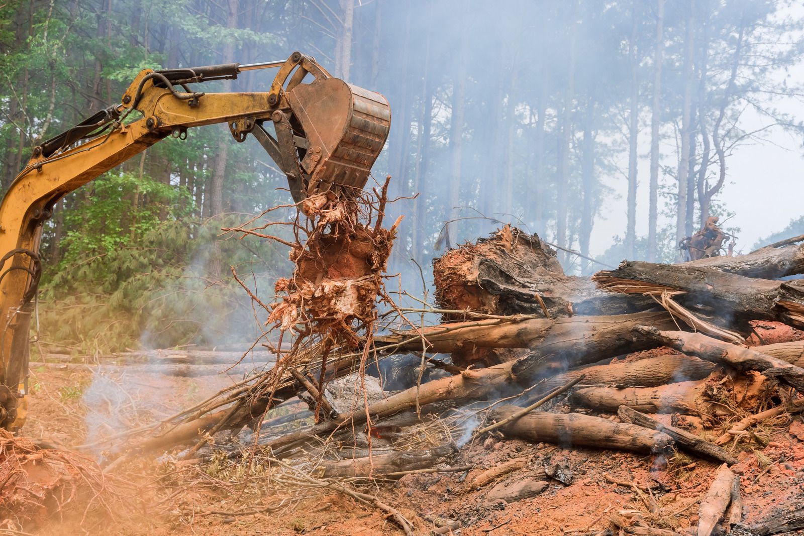 An excavator uproots a tree stump in a muddy, deforested forest with logs and mist.