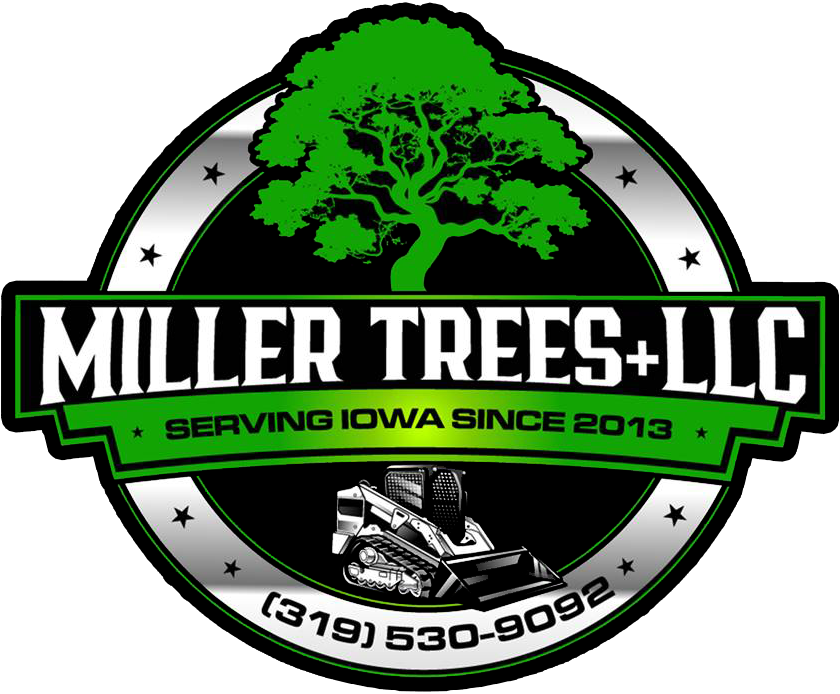 Logo for Miller Trees LLC, featuring a green tree, machinery, and phone number.