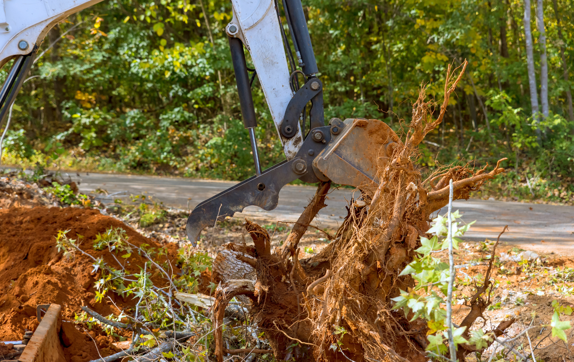 Excavator removing tree roots from the ground with trees in the background.